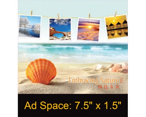 Desk Calendar DC30